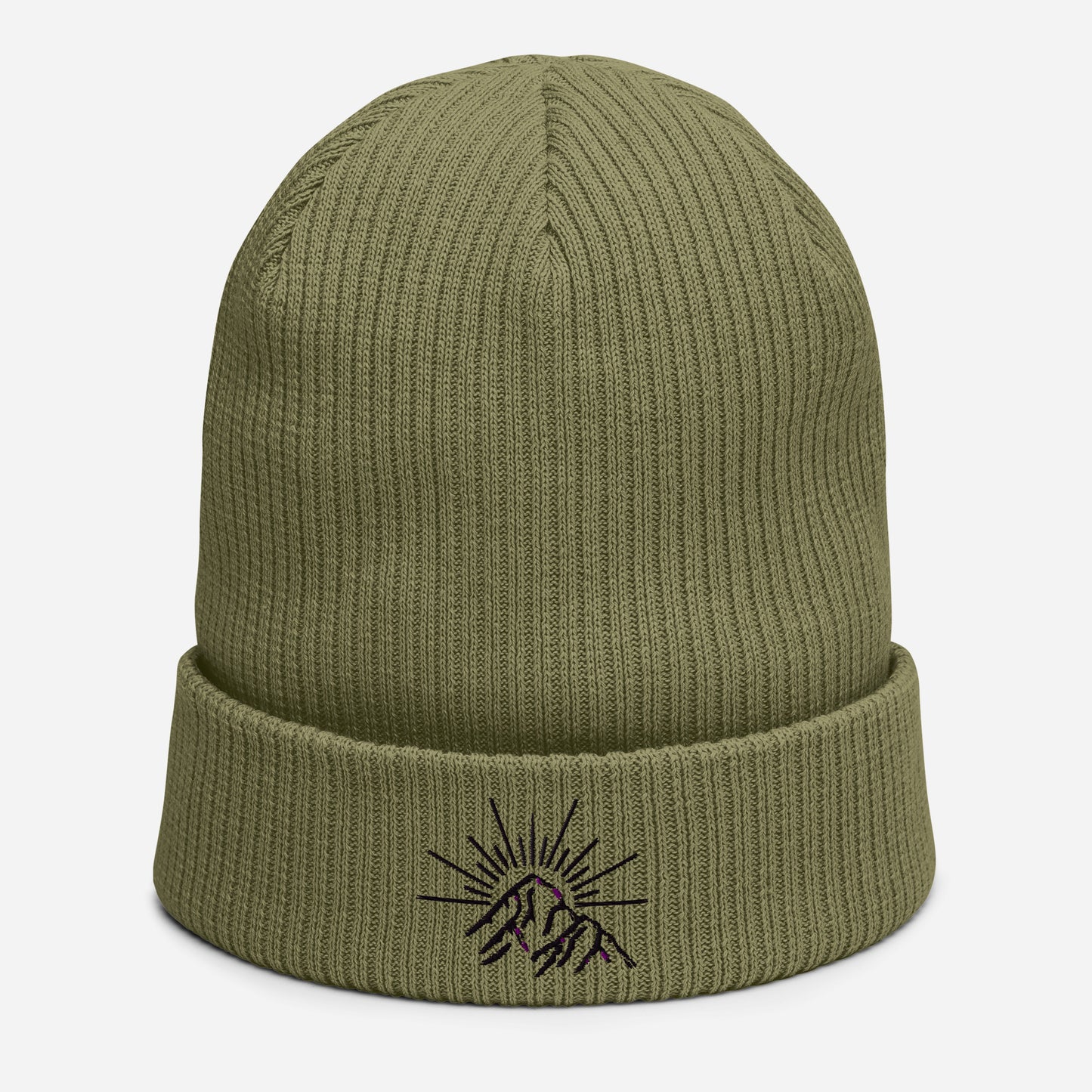 Viewpoint ribbed beanie