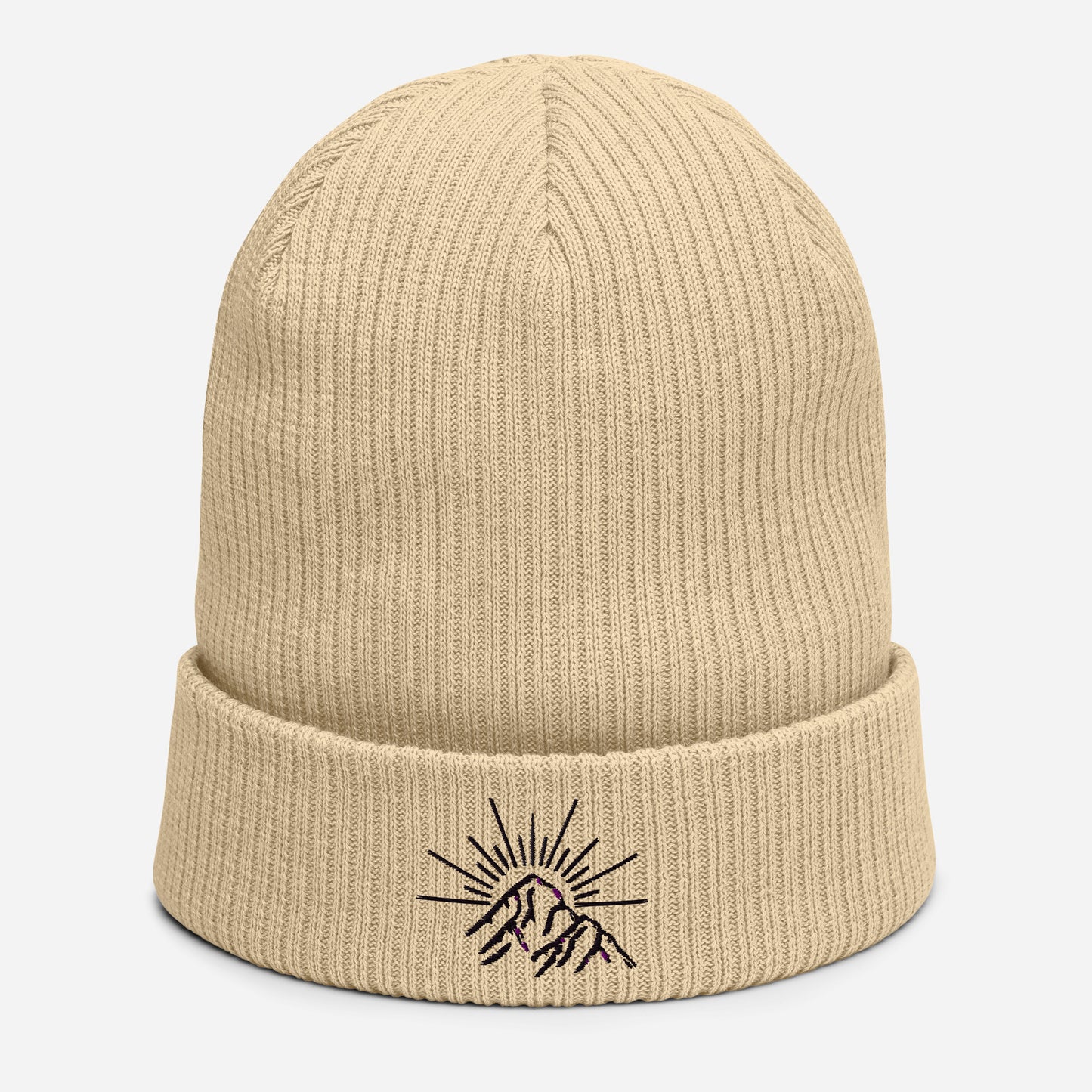 Viewpoint ribbed beanie